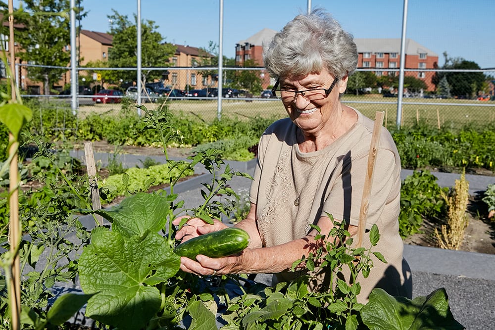 Inscription jardin communautaire 2020 Inscription jardin communautaire 2020