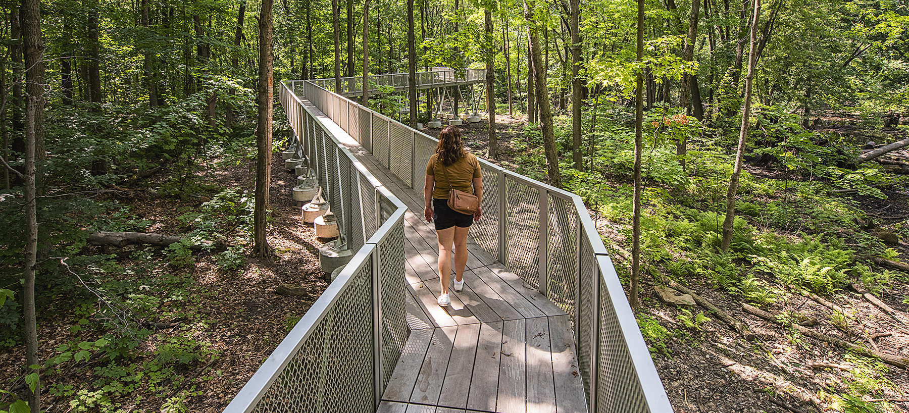 Parc-nature du Bois-de-Liesse