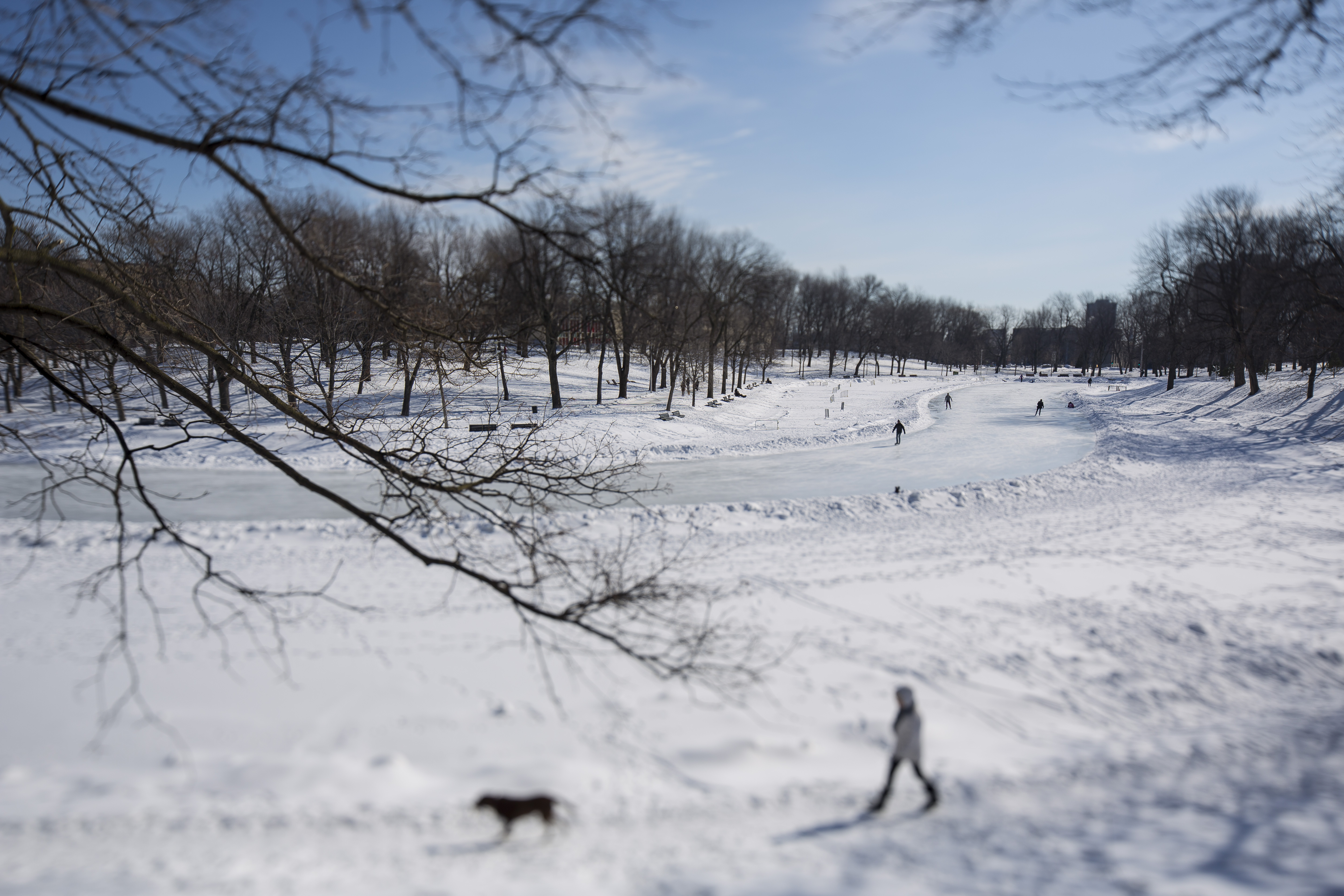 PMR_Étang La Fontaine_Hiver 2016