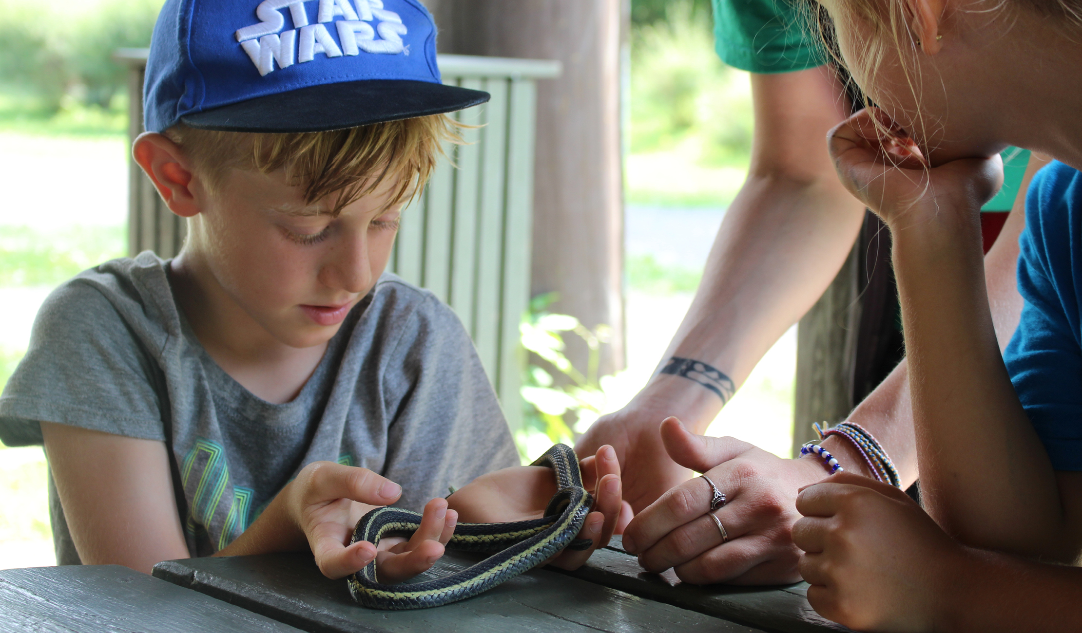 Excursions et activités scientifiques
