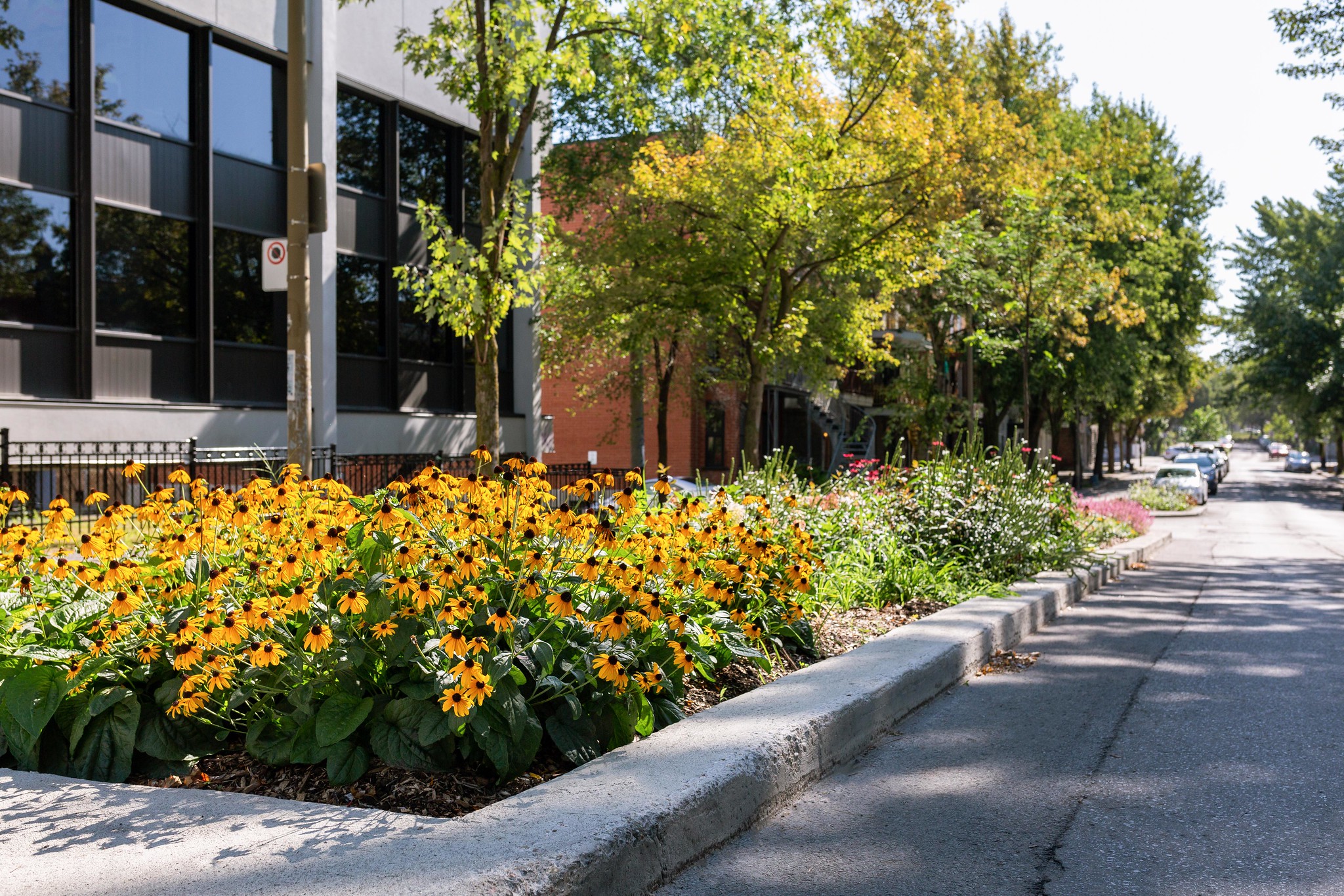 Des jardins de rue dans MHM