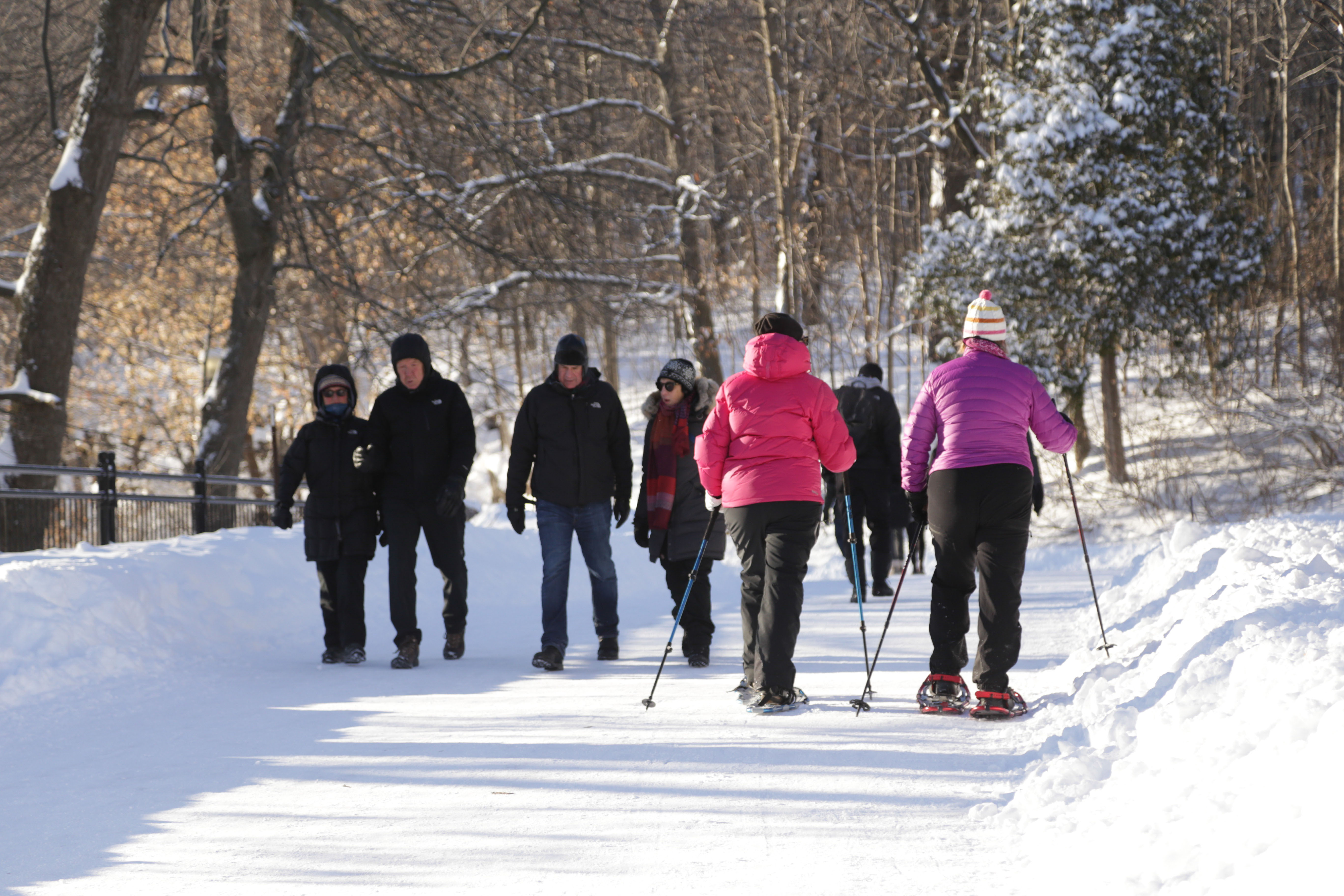 Randonnées en raquettes au parc du Mont-Royal Joudy HIlal
