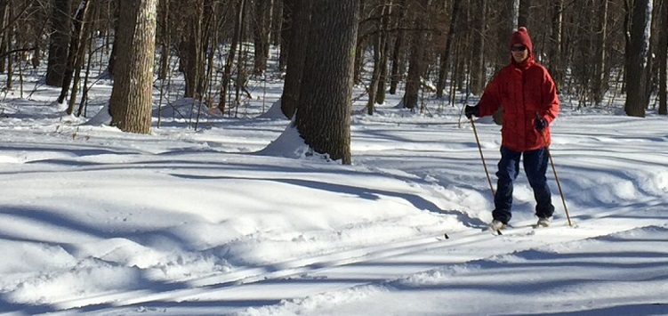Un personne faisant du ski de fond