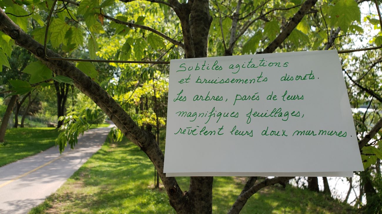 Les sentiers poétiques