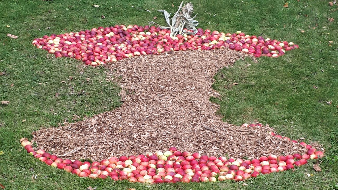 Le land art à l'honneur