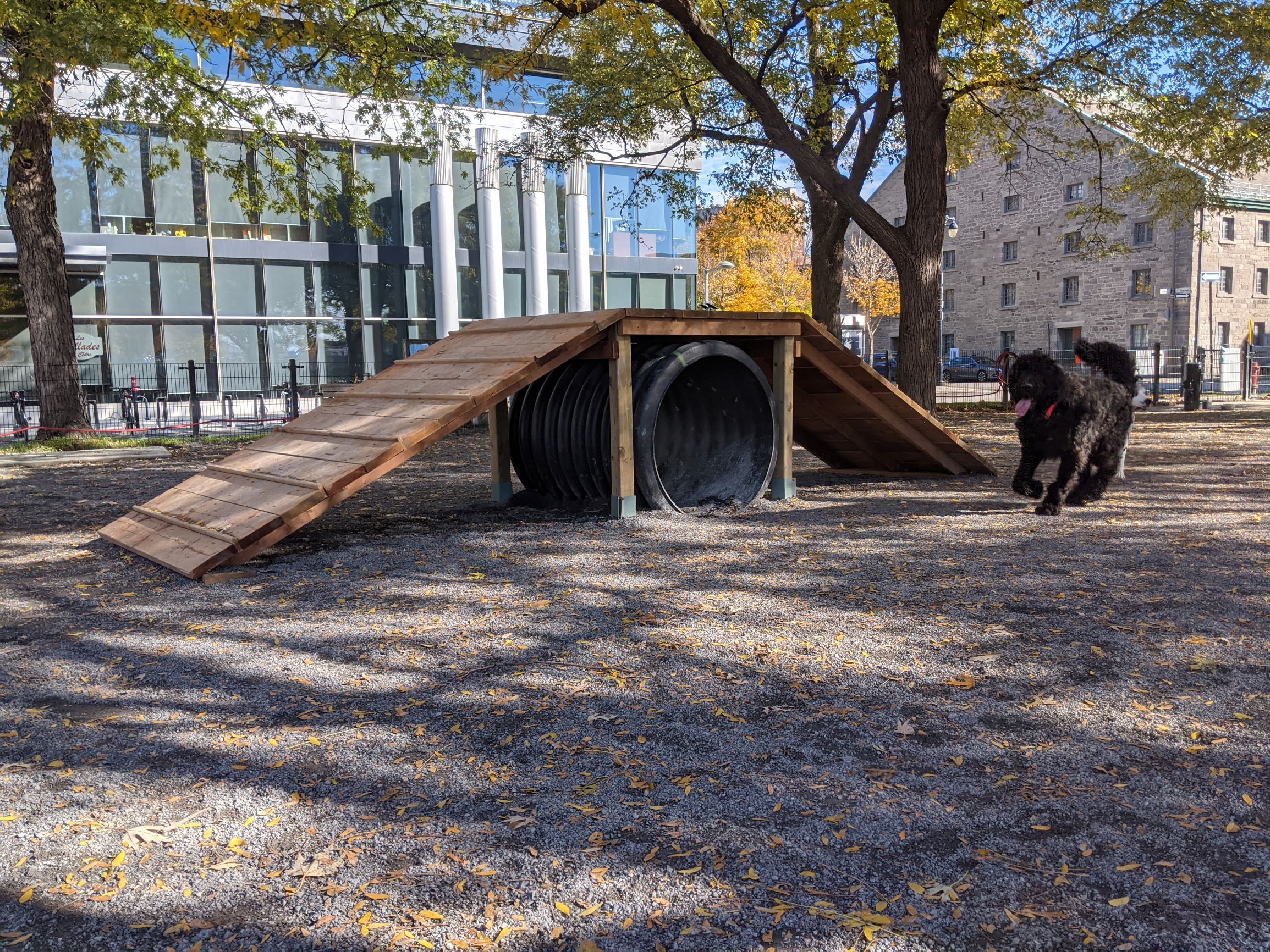 Parc à chiens du parc Ahuntsic