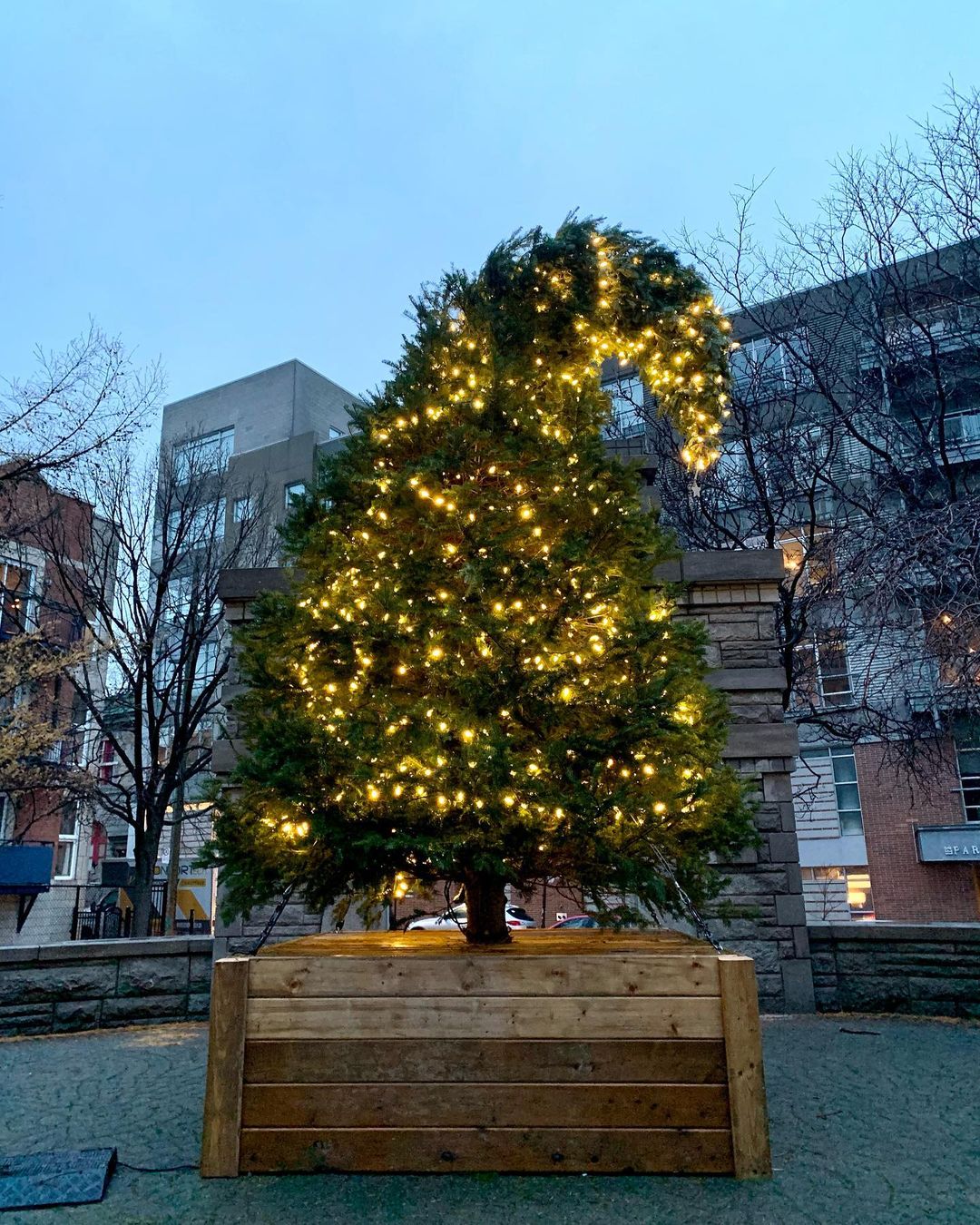 PMR_Vilain Sapin