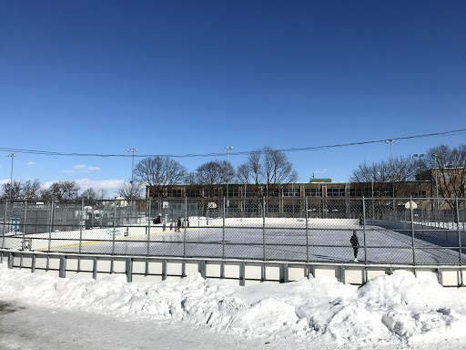 Patinoires