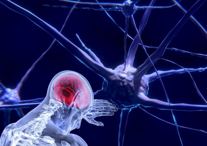 Qu'est-ce qui tue les neurones?