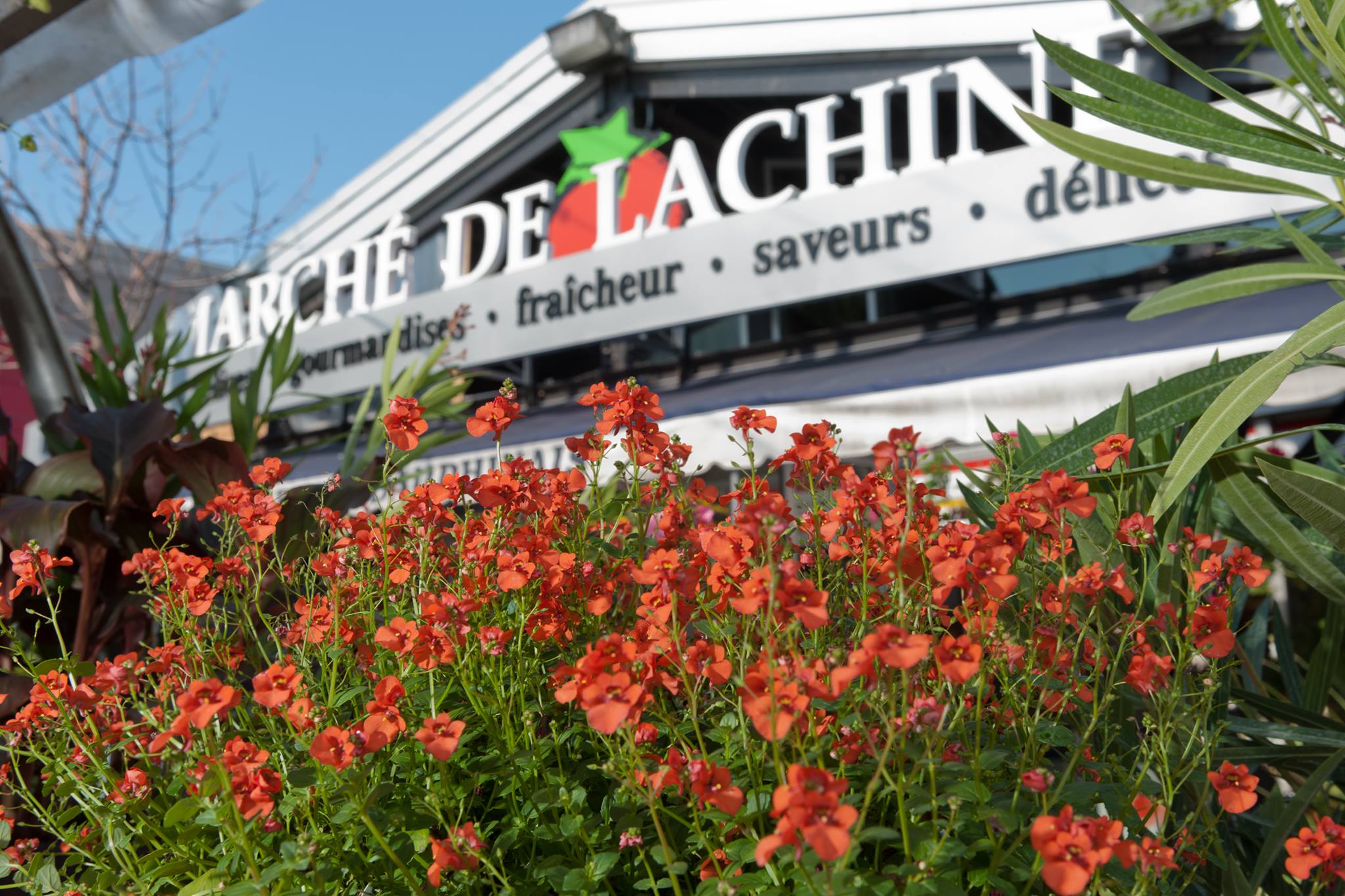 Marché de Lachine | Ville de Montréal
