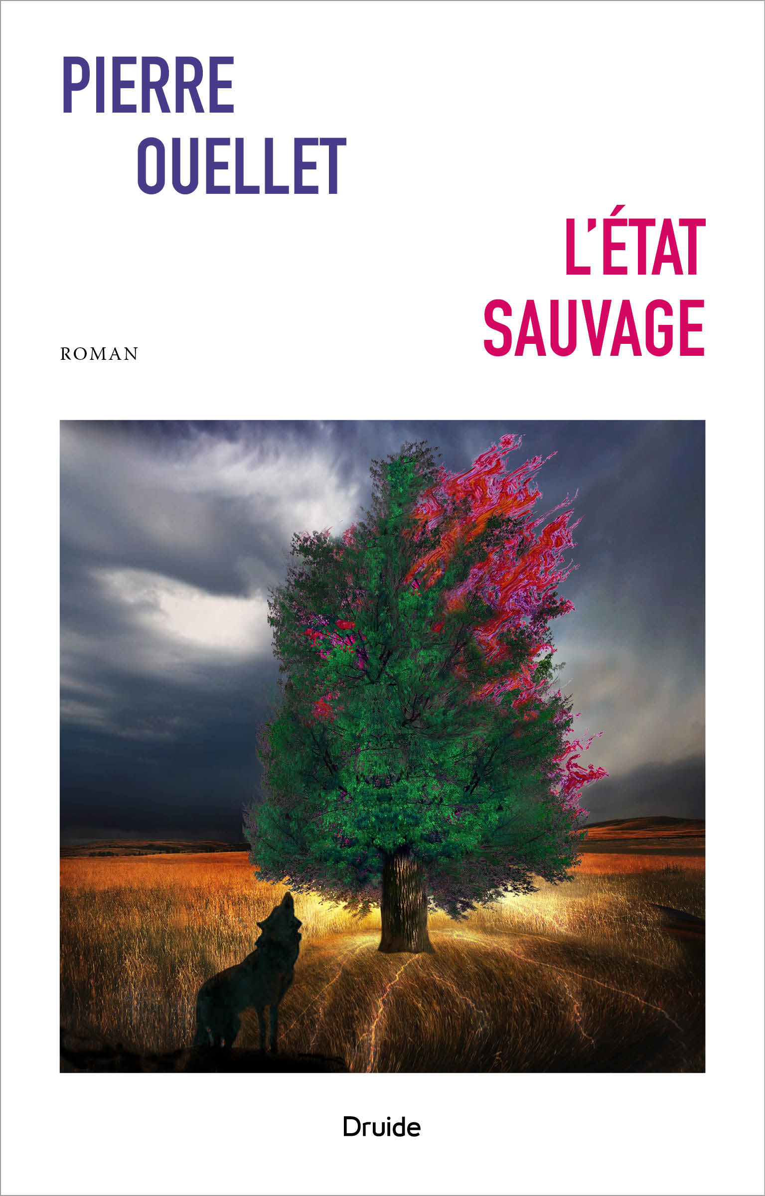 L'état sauvage, de Pierre Ouellet, éditions Druide