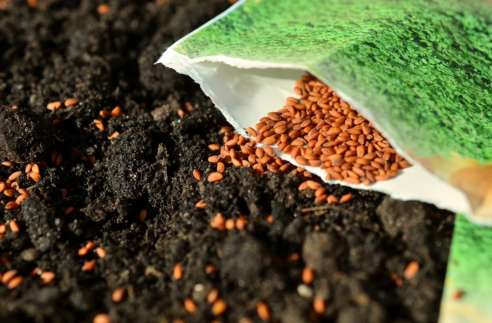 Un sachet de graines sur de la terre noire.