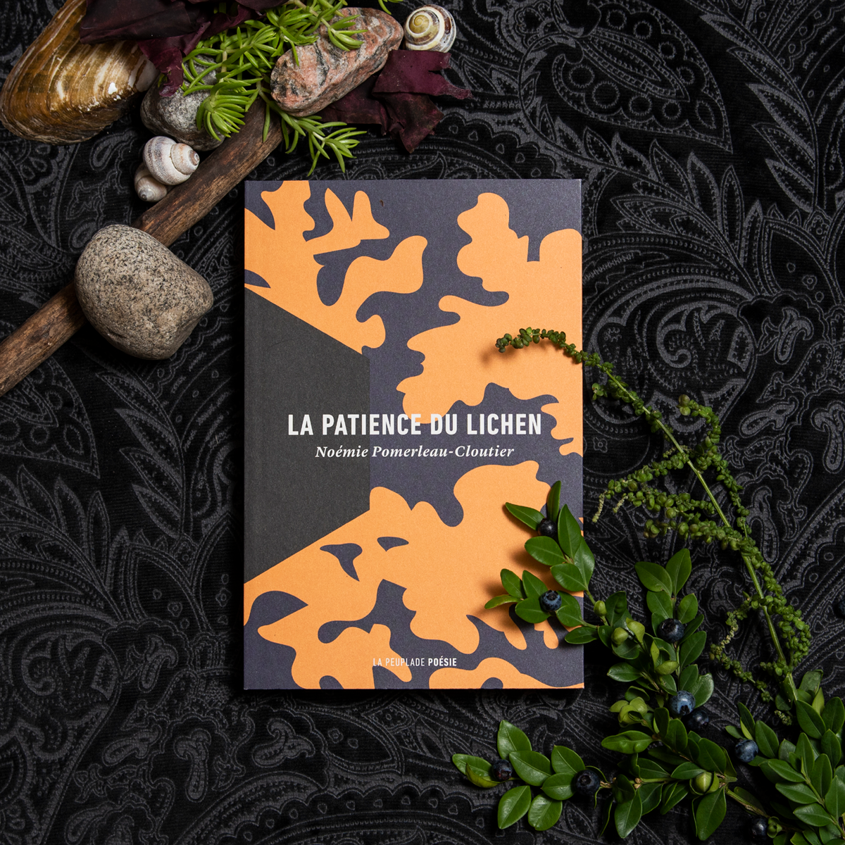 La Patience du lichen