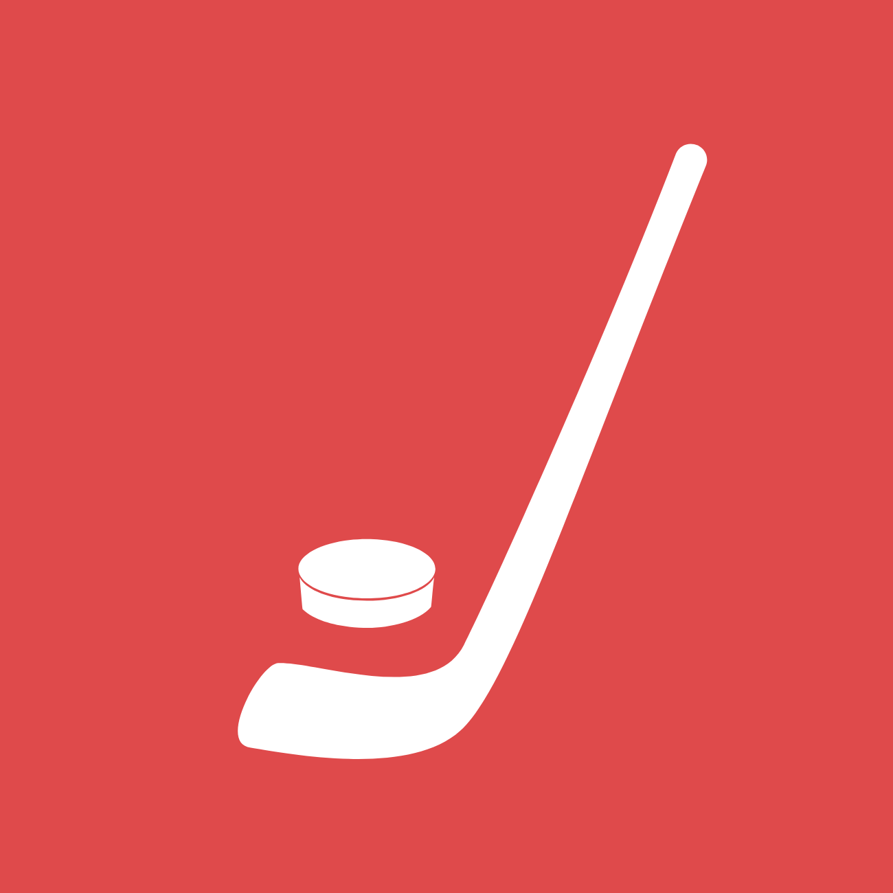 Baton de hockey