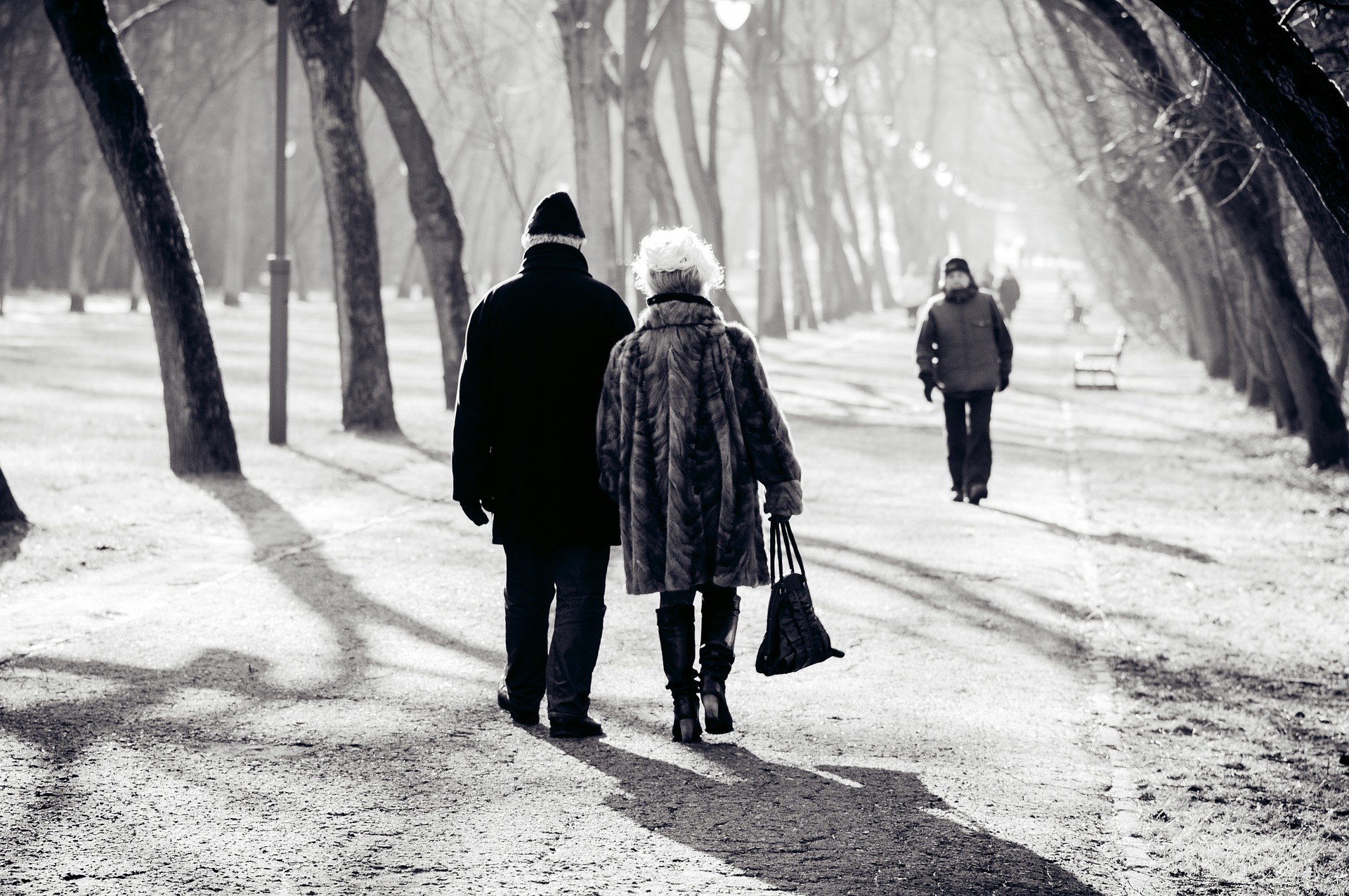 photo noir et blanc d'un couple d'adulte qui marche dans un parc sous la neige