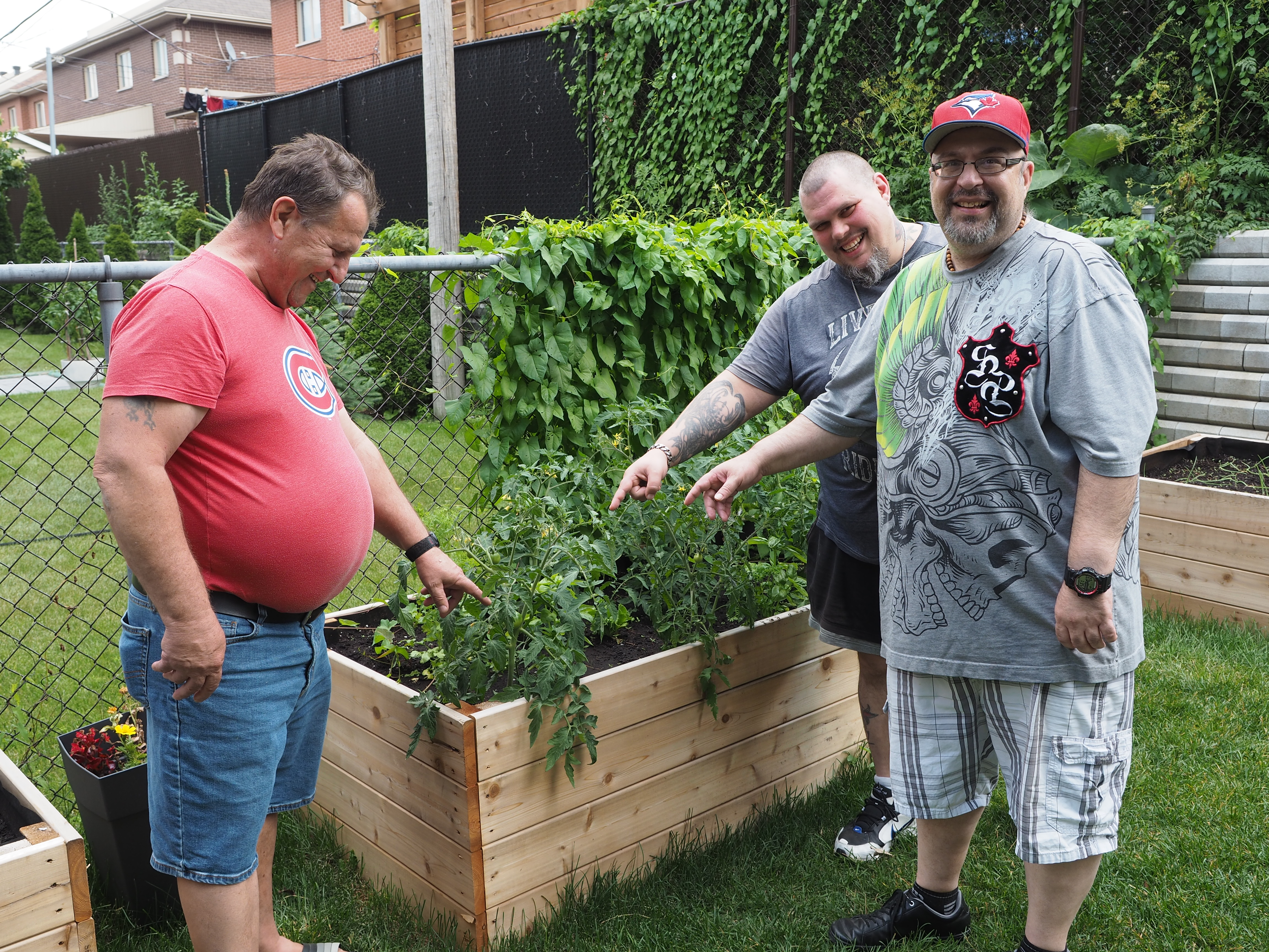 Trois hommes qui pointent une plante