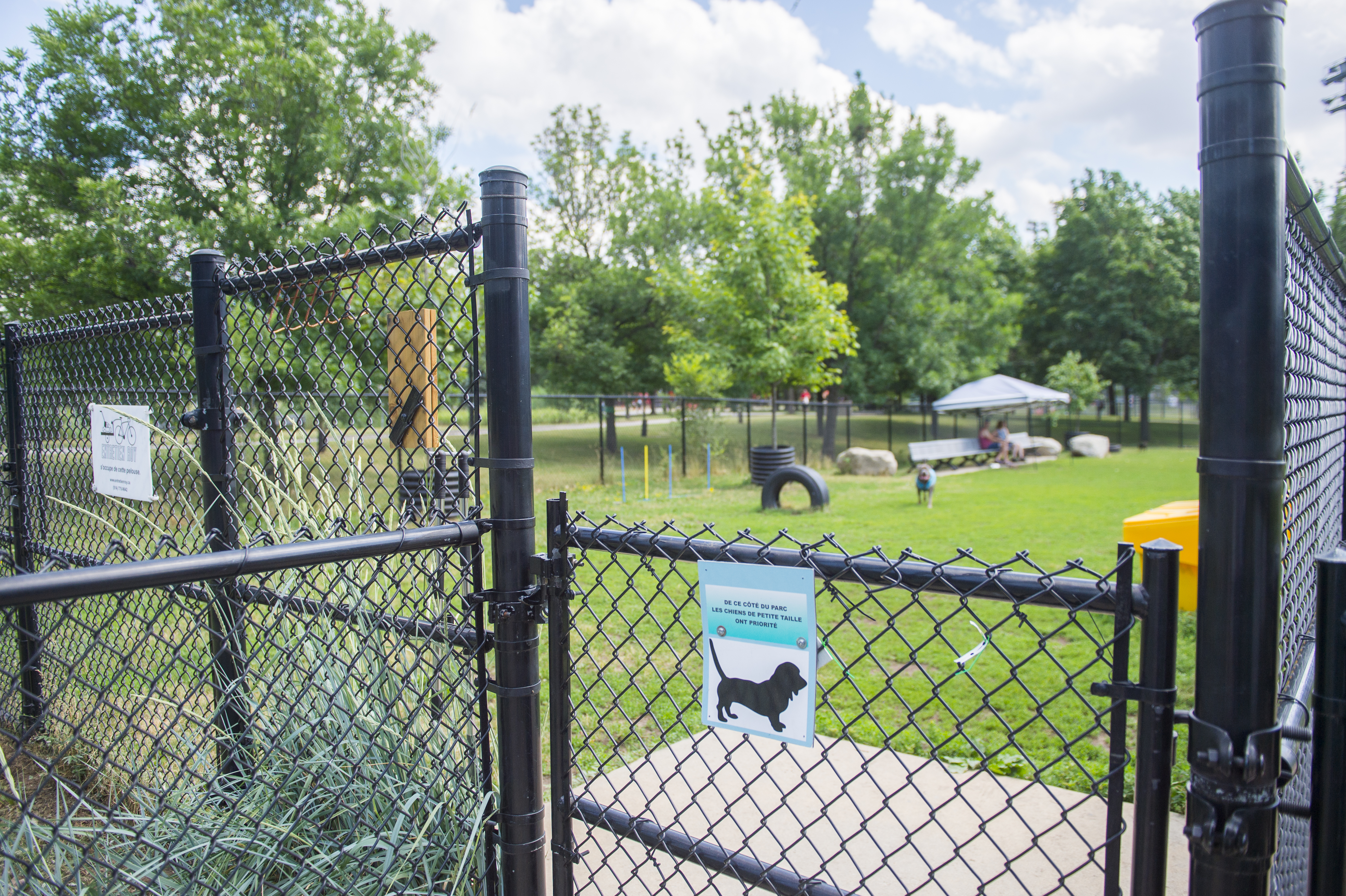 Parc à chiens du parc Ahuntsic