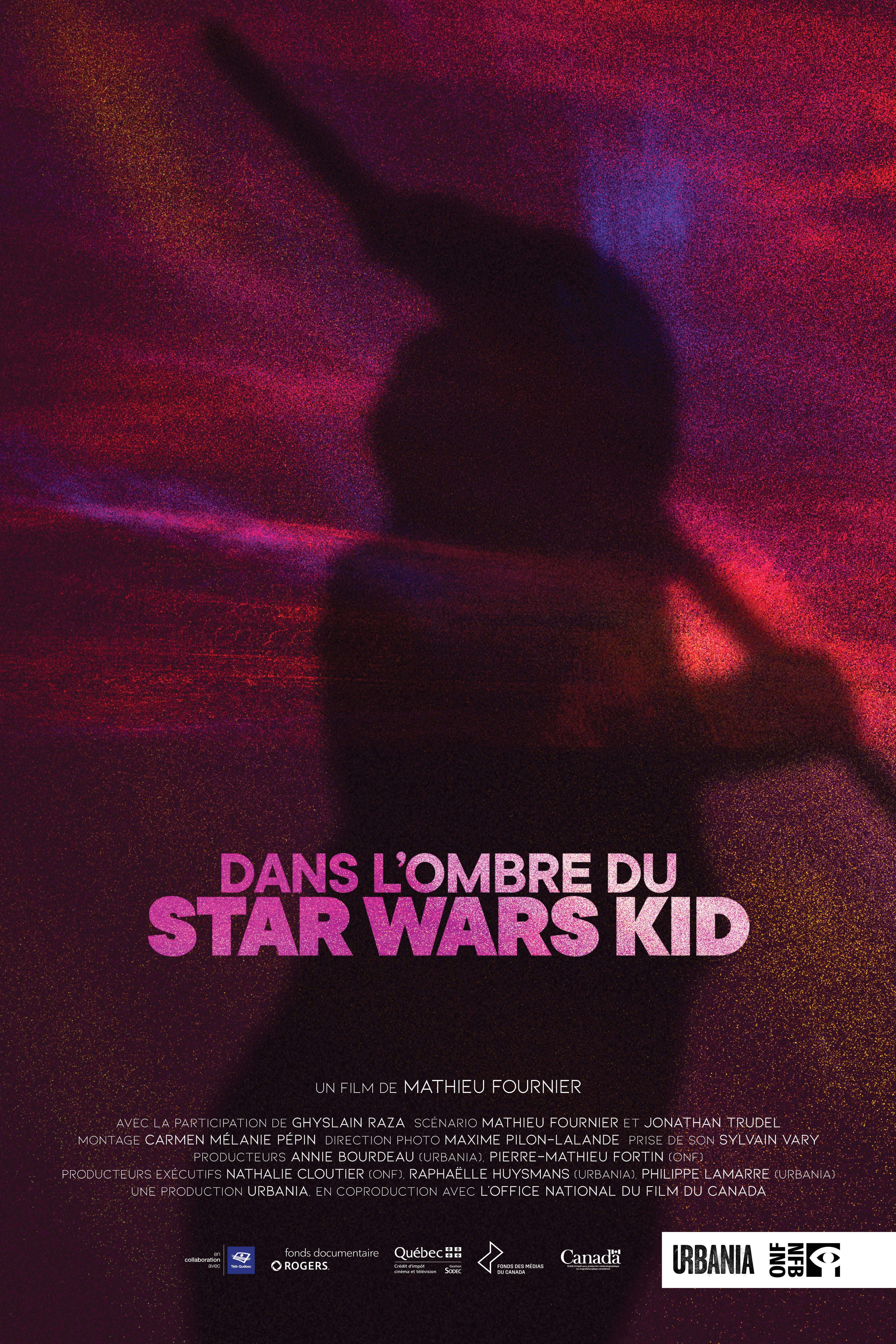 Dans l’ombre du Star Wars Kid, de Mathieu Fournier, 2022