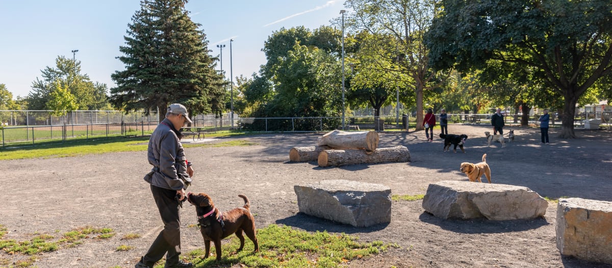 Parc à chien Liébert
