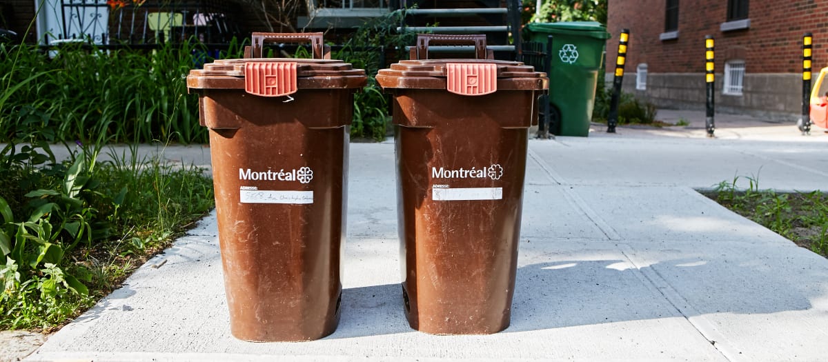 Bacs bruns pour la collecte des résidus alimentaires