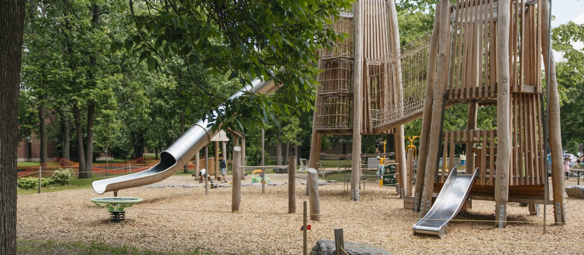 Parc Dan-Hanganu
