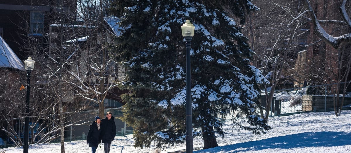 Deux personnes se promènent dans un parc enneigé