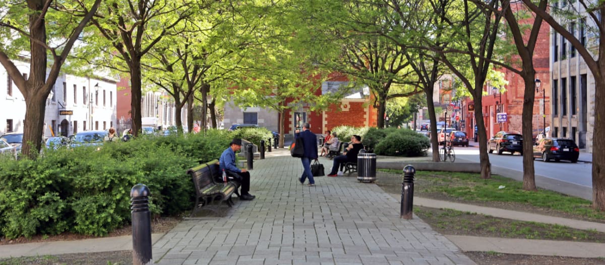 Place d'Youville