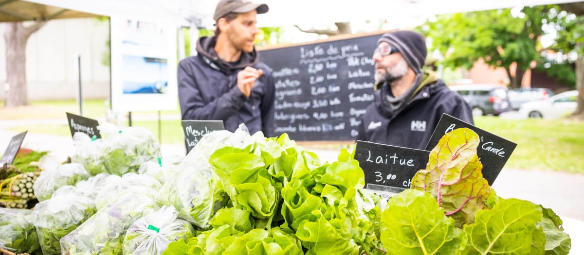Faites le plein de légumes frais et de produits locaux lors des marchés fermiers de Verdun.