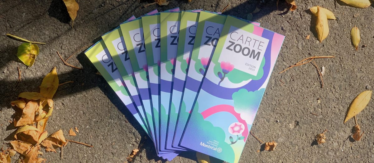 Dépliants de la Carte ZOOM 2025 de VSP étalés en éventail sur un trottoir.
