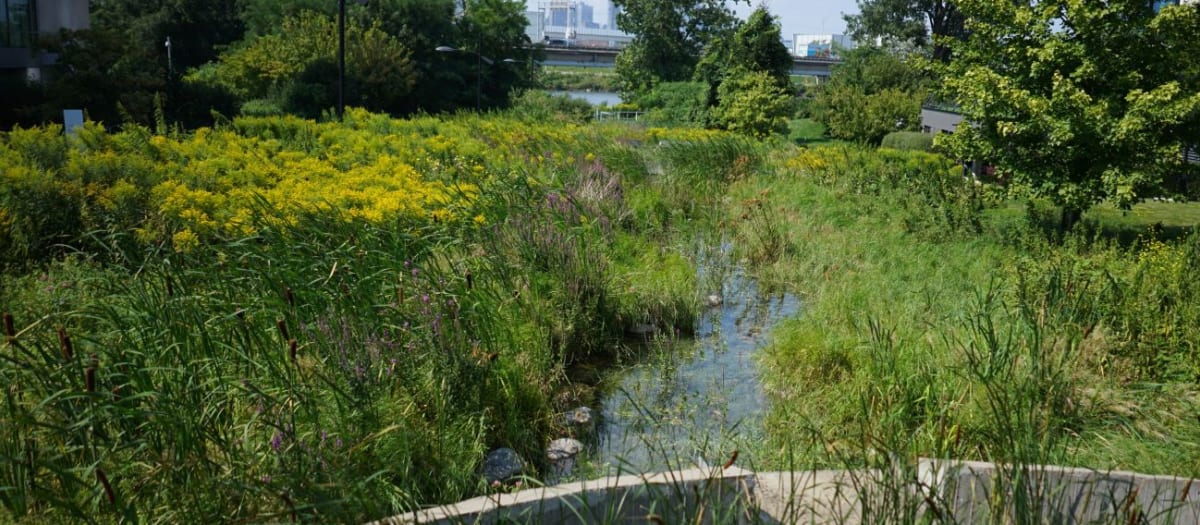 Photo du parc Gewurz-Remer, été 2024.