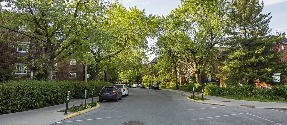 Rue résidentielle bordée d'arbres qui sont plantés devant les immeubles