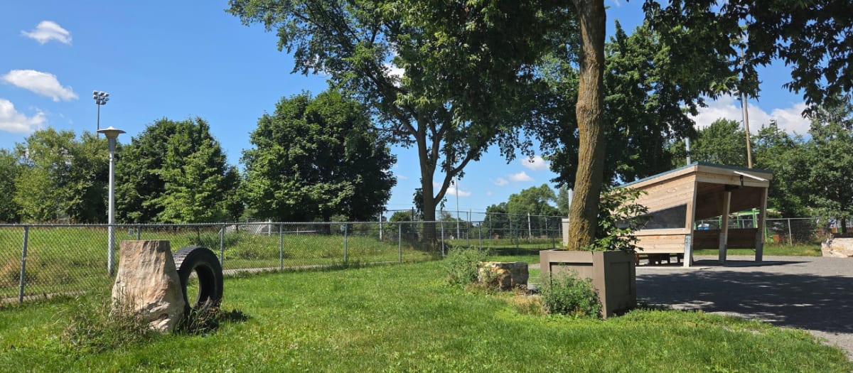 Parc à chiens du parc de la Louisiane