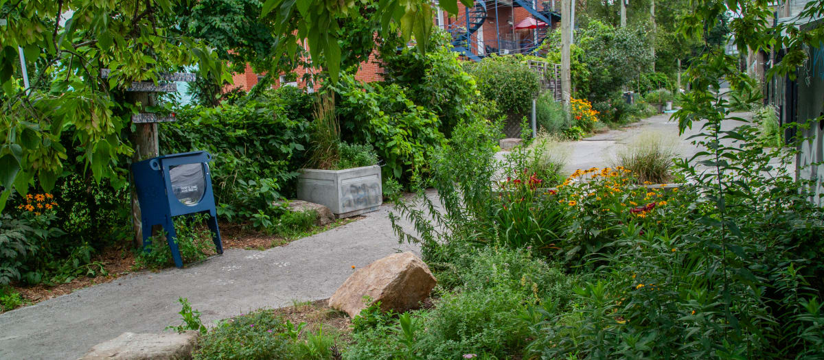 Ruelle verte dans Rosemont–La Petite-Patrie
