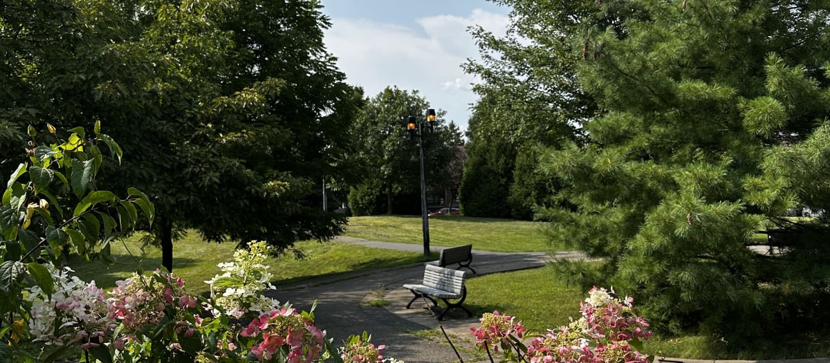 Fleurs et parc