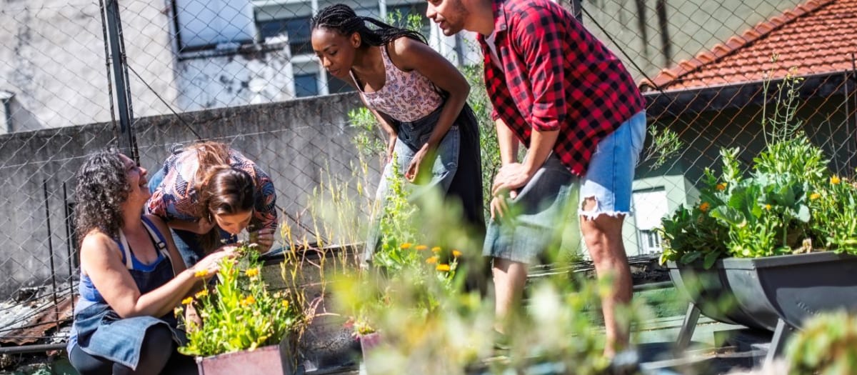 Personnes qui discutent autour d'un jardin