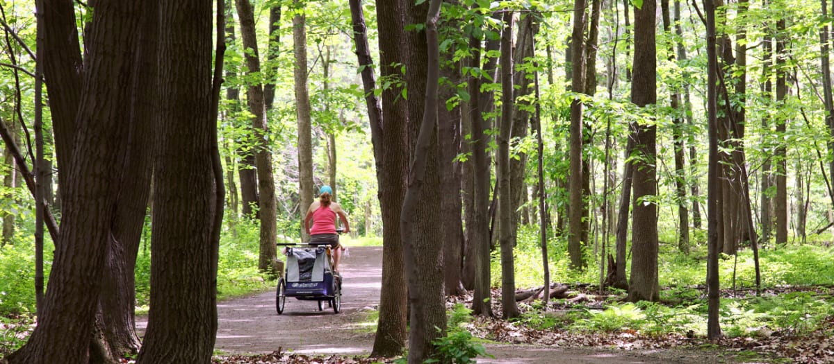 Comportement dans les parcs à Montréal - femme à vélo en forêt