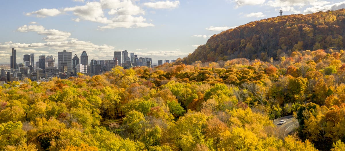 Photo du Parc du Mont Royal