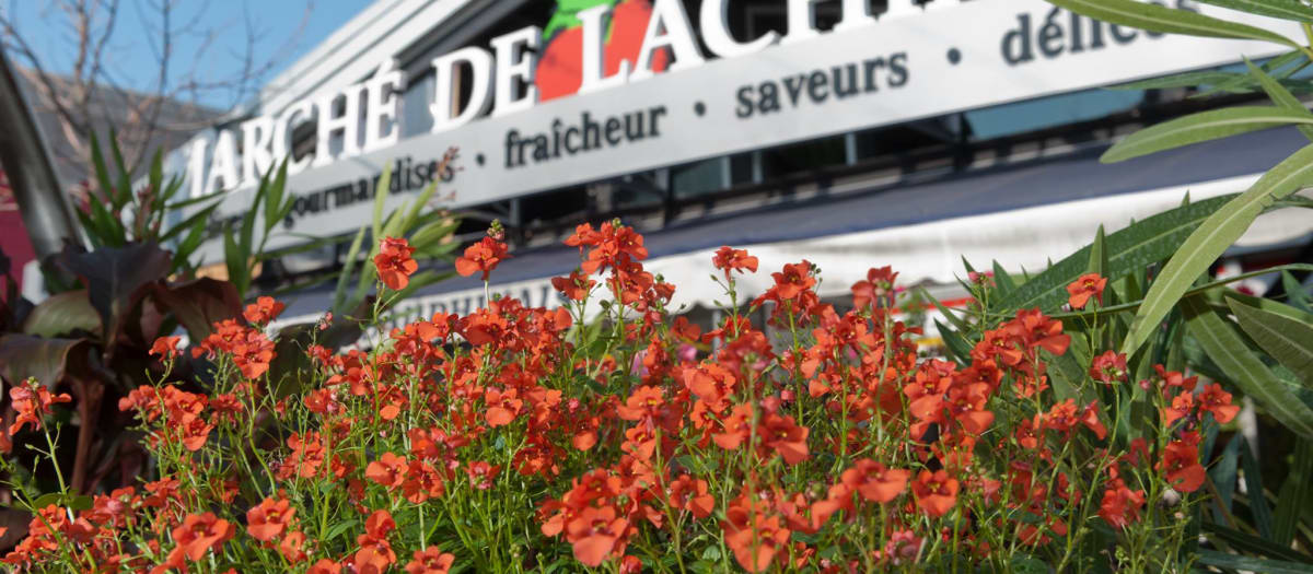 Marché de Lachine