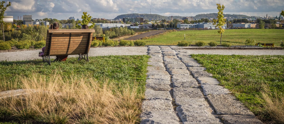 Belvédère Boisé Est - vue sur le mont Royal - Parc Frédéric-Back
