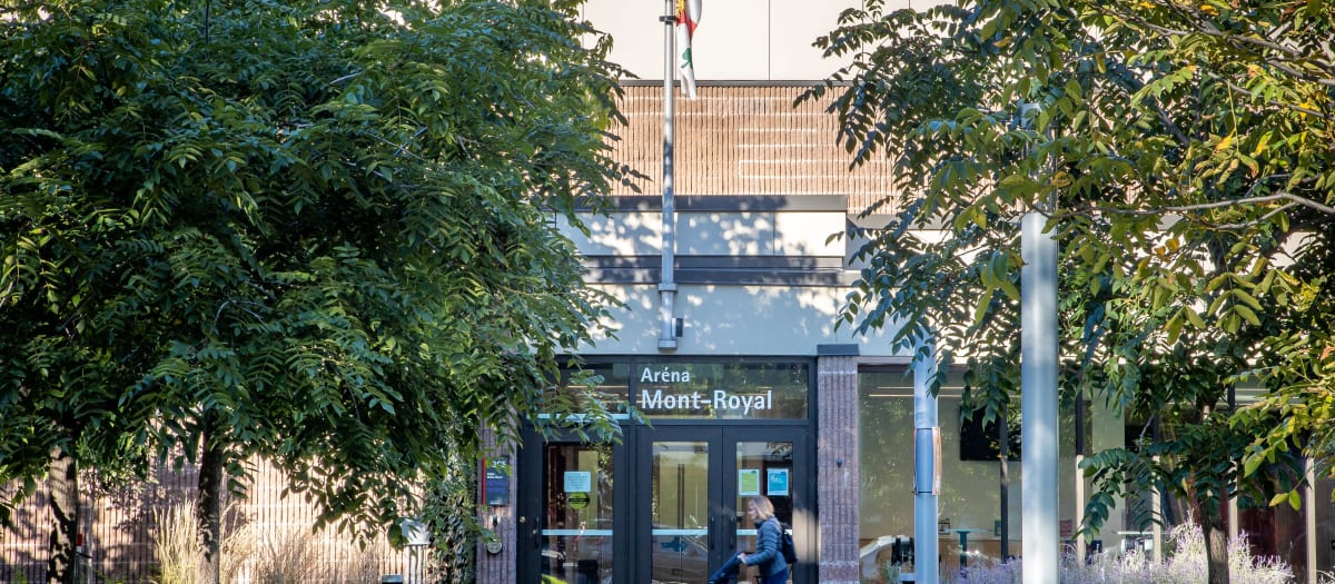 Aréna Mont-Royal