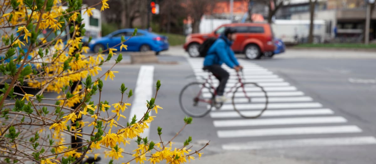 Plan local de déplacements du Sud-Ouest