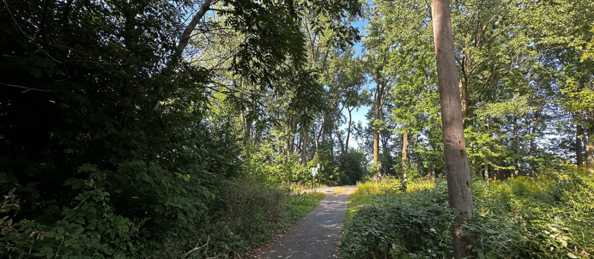 Sentier du parc de la Merci