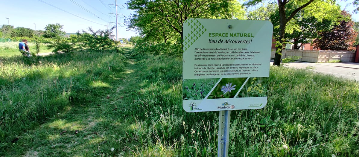 Renaturalisation d'espaces verts à Verdun