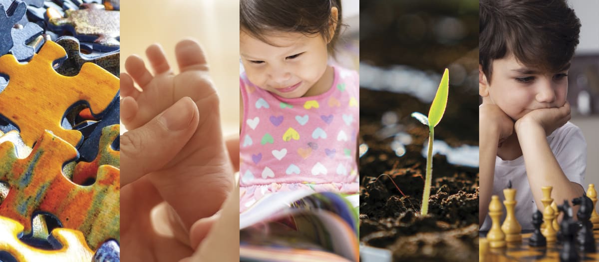 Casse-tête, bébé-massage, lecture, bouturothèque et échecs. Une mosaïque d'activités en bibliothèque.