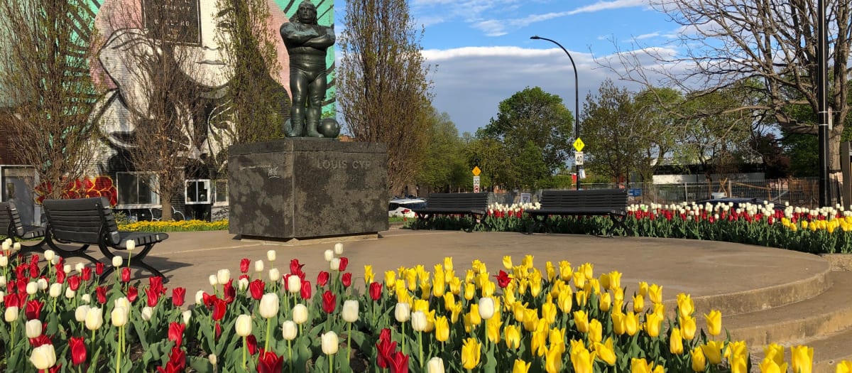 Tulipes en avant plan avec statue de Louis-Cyr à l'arrière