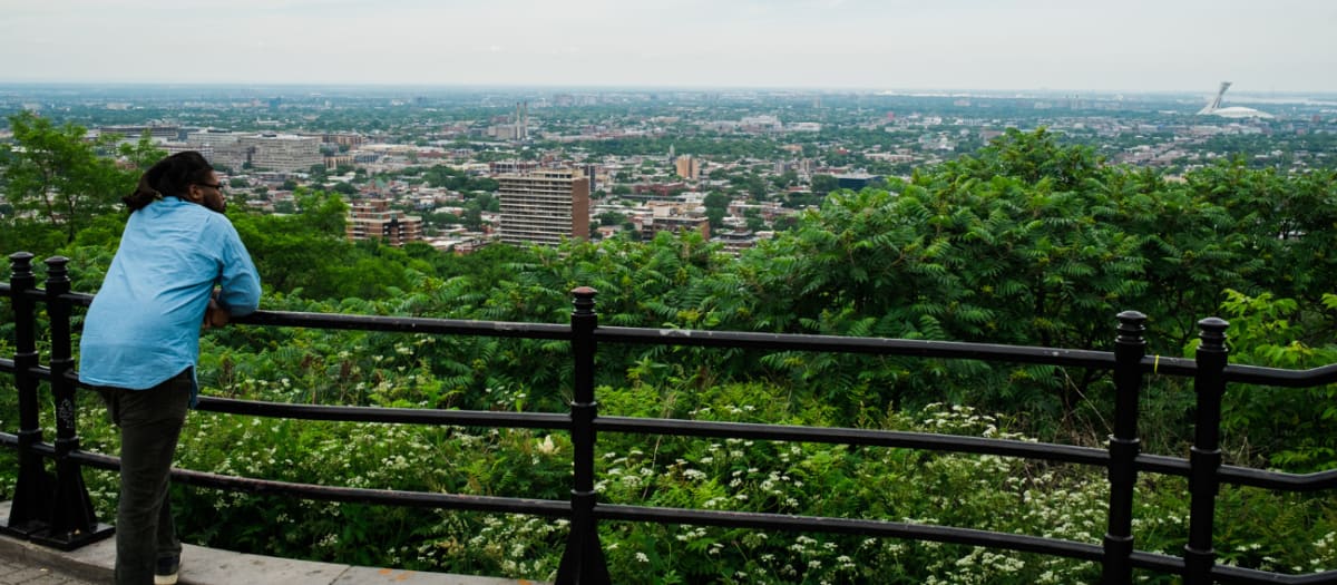 Photographie du point de vue depuis le belvédère Camillien-Houde
