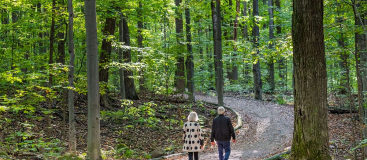 Sentier de marche BDL