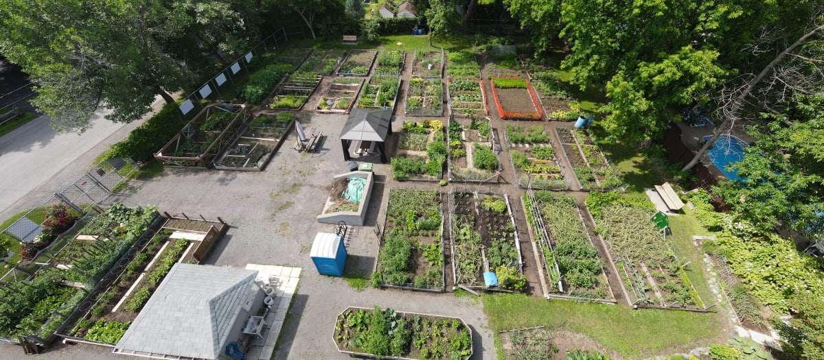 jardin communautaire vue du ciel