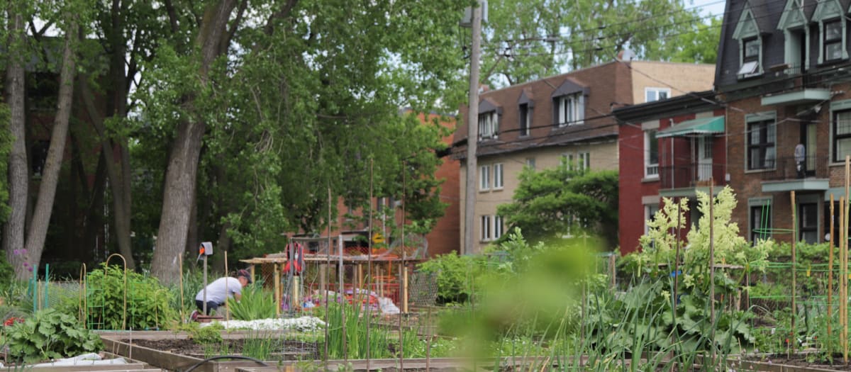 Jardin communautaire