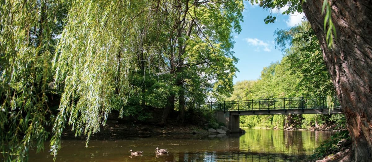 photo du pont chevauchant l'étang situé dans le parc Raimault